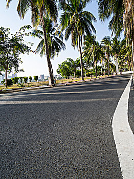 椰林大道