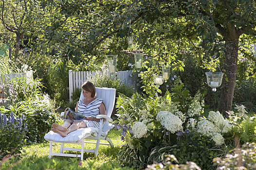 白色,躺椅,苹果树,床,八仙花属