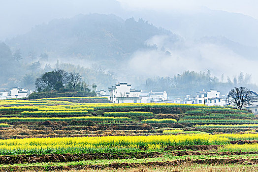 画里乡村婺源