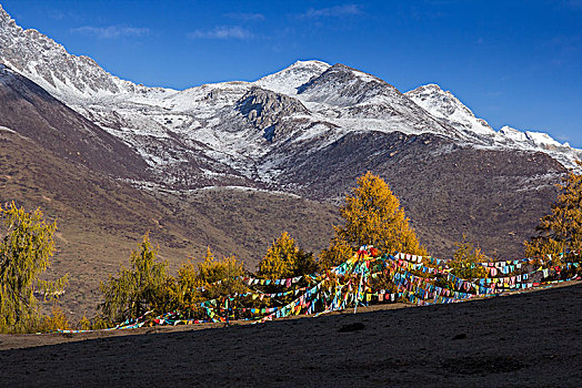 秋季蓝天下的高原雪山