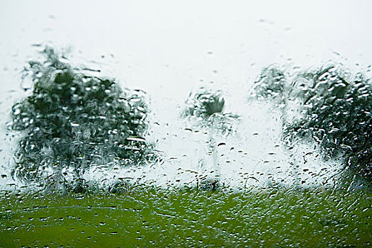 雨滴,窗户,棕榈树