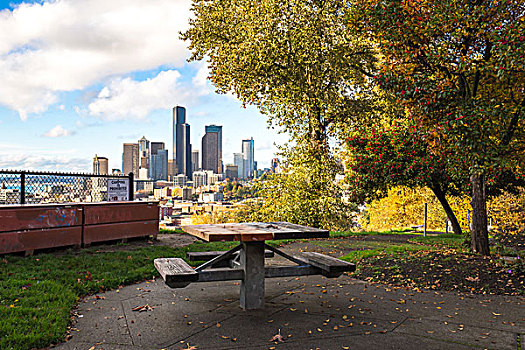 桌子,树下,城市,天际线,西雅图