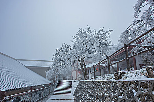 峨眉山雪景