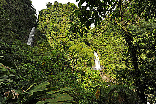 dominica,morne,trois,pitons,twin,waterfalls,of,trafalgar,falls