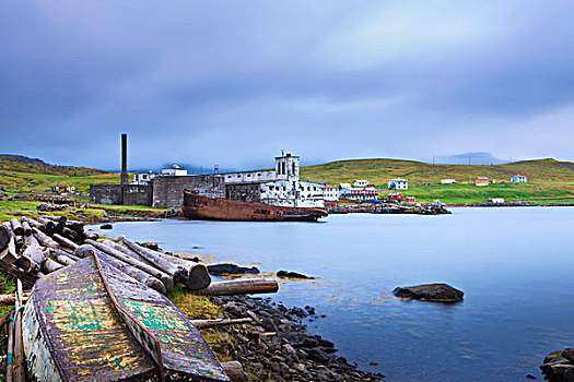 鱼,工厂,船,区域,冰岛