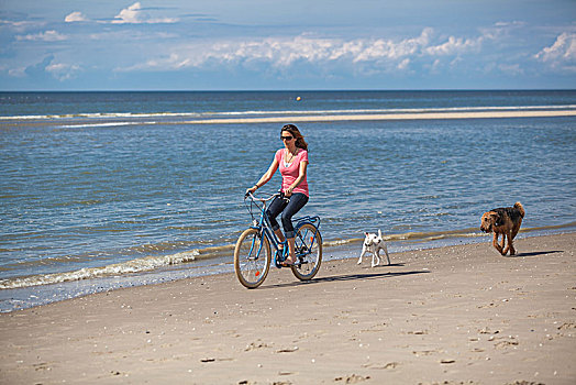美女,狗,骑自行车,海滩,加来海峡省,母狗