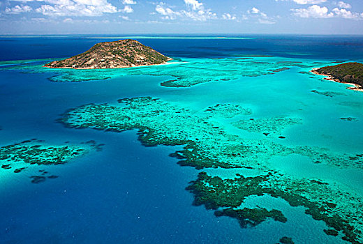 珊瑚礁,蜥蜴,岛屿,国家公园,大堡礁,澳大利亚