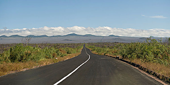 公路,圣克鲁斯岛,加拉帕戈斯
