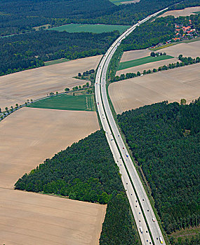 航拍,高速公路,弯曲,地点,树林,下萨克森,德国,欧洲