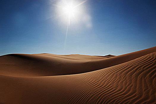 沙丘,绿洲,阿布扎比,阿联酋