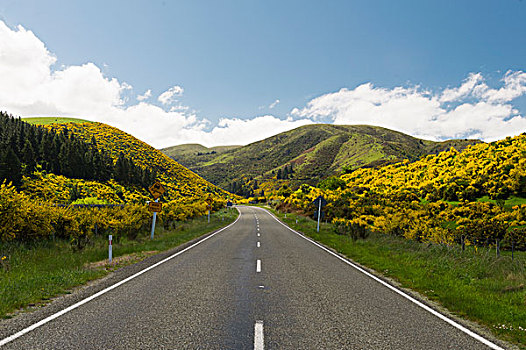 公路,乡村风光