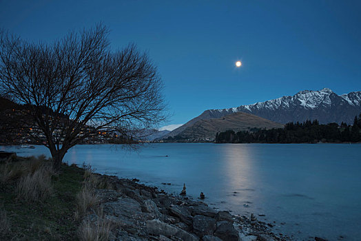 瓦卡蒂普湖,夜晚,树,新西兰