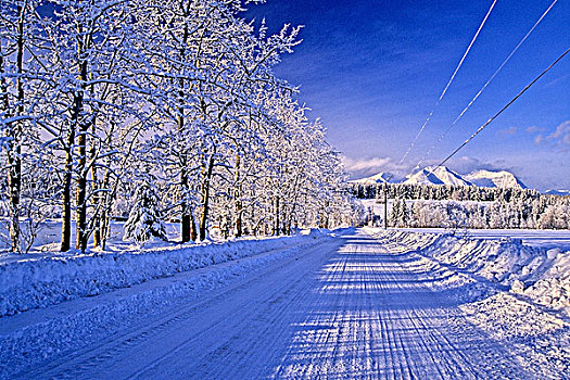 笔直,局部,雪,犁地,冬天,道路,靠近,不列颠哥伦比亚省,加拿大