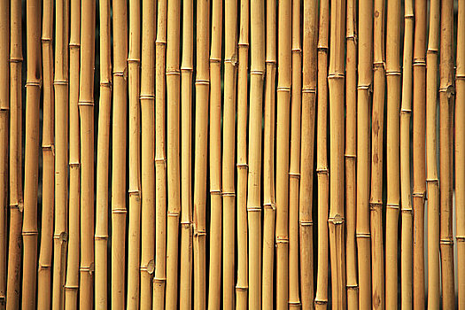 夏威夷,瓦胡岛,竹子,棍,一堆,排列,一起