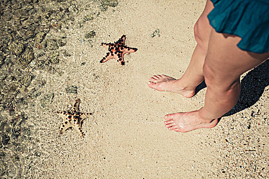 两个,海星,海滩,脚,美女