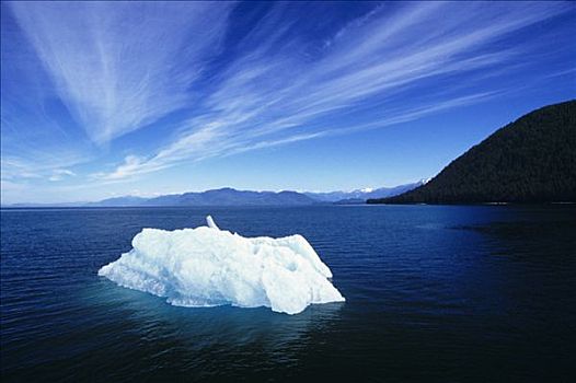 阿拉斯加,湾,冰山,漂浮,美景