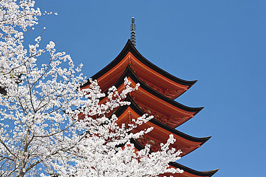 严岛神社,神祠,宫岛,廿日市,广岛,本州,日本