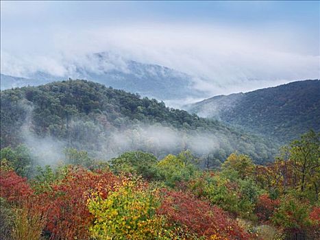 树林,秋色,风景,中空,俯瞰,仙纳度国家公园,弗吉尼亚