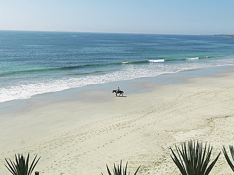 男人,骑马,海洋,墨西哥
