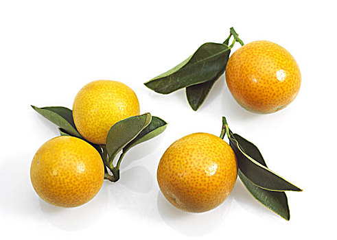 金橘,水果,白色背景