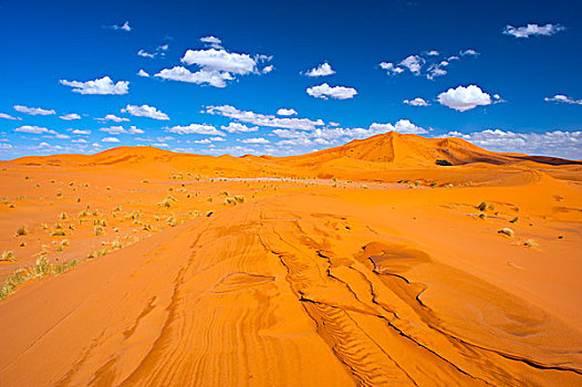 形状,沙子,风,重,雨,沙丘,撒哈拉沙漠,南方,摩洛哥,非洲