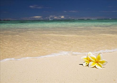 夏威夷,瓦胡岛,两个,休息,沙子,美好,热带沙滩