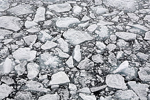北冰洋,浮冰,特写,使用,只有,探险,极地,研究