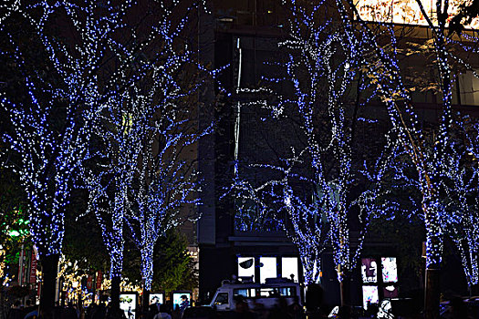 行道树装饰灯