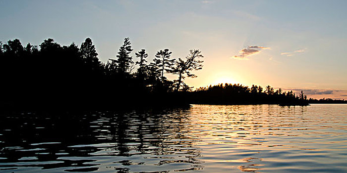 日落,上方,湖,木头,安大略省,加拿大