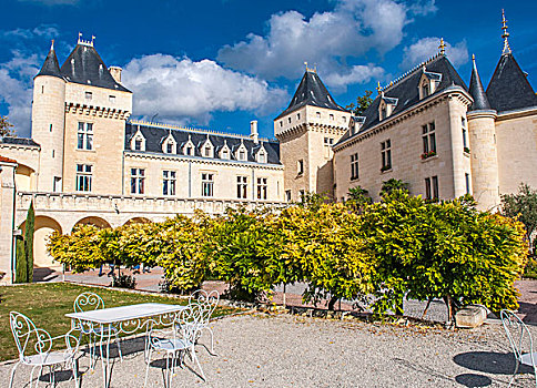 法国,城堡,酒用葡萄种植区