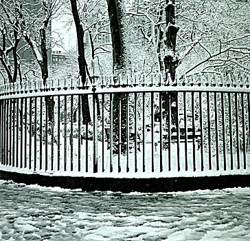 雪,栅栏,纽约,美国