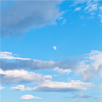 月亮,云,蓝色,夜空