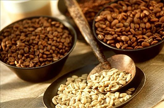咖啡豆,品种