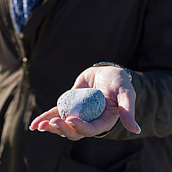 握着,鹅卵石,特威林盖特,北方,特威林盖特岛,纽芬兰,拉布拉多犬,加拿大
