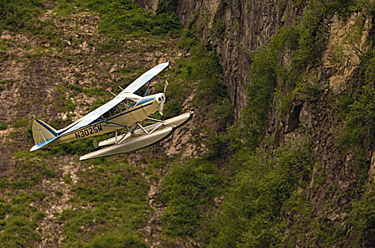 灌木,飞行员,水上飞机,挨着,山,阿拉斯加,峡谷