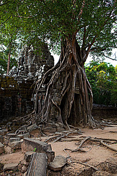 柬埔寨吴哥达松将军庙