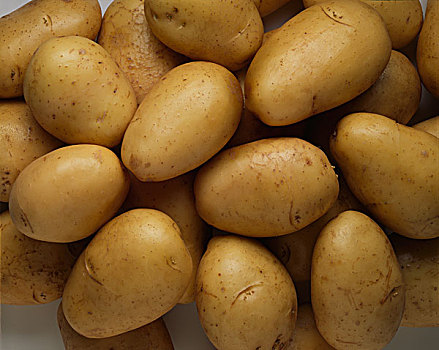 新土豆