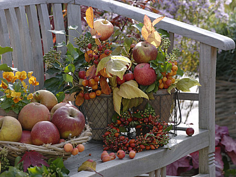 秋天,安放,苹果,观赏苹果,野玫瑰果,常春藤