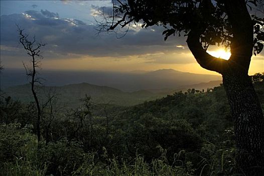 落日,山峦,国家公园,靠近,金卡,埃塞俄比亚