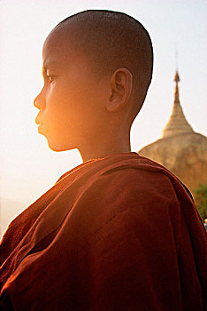 缅甸,巴格,新信徒,僧侣,正面,塔