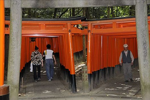 传统,日本人,伏见,神祠,京都,日本,亚洲