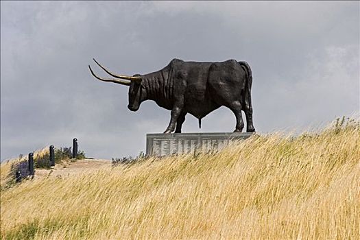 雕塑,牛,爱沙尼亚,欧洲