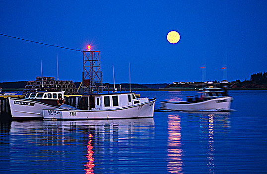 满月,上方,爱德华王子岛,加拿大