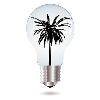 环境,图像,灯光,灯泡,剪影,棕榈树