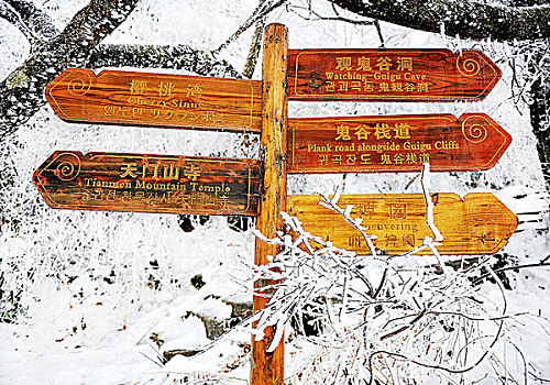 雪地上竖着的木制指路牌