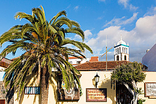 棕榈树,墙壁,塔,散步场所,特内里费岛,加纳利群岛,西班牙