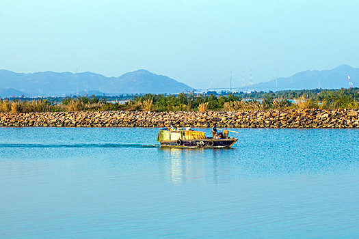 江门银湖湾湿地风光