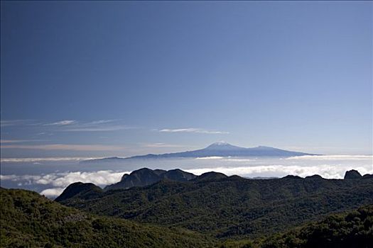 国家公园,加拉霍艾,风景,山,特内里费岛,加纳利群岛