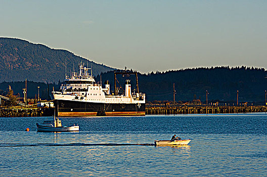 小,汽艇,叶子,港口,湾,温哥华岛,不列颠哥伦比亚省,加拿大