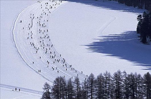 冬天,雪,滑雪,滑雪者,格劳宾登州,瑞士,欧洲,假日